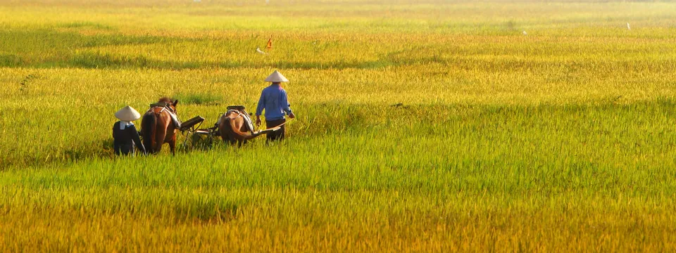 Südostasien intensiv