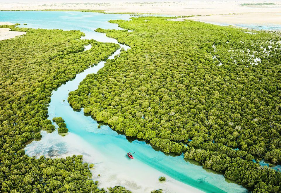 Kayaking in den Mangrovenwäldern Katars
