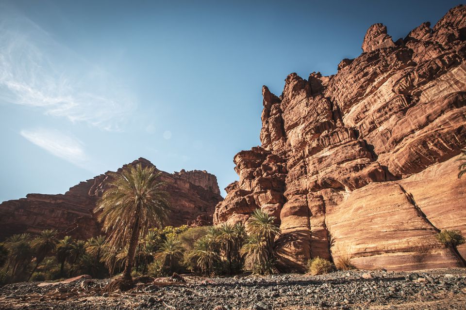 Wadi Al Disah © Visit Saudi