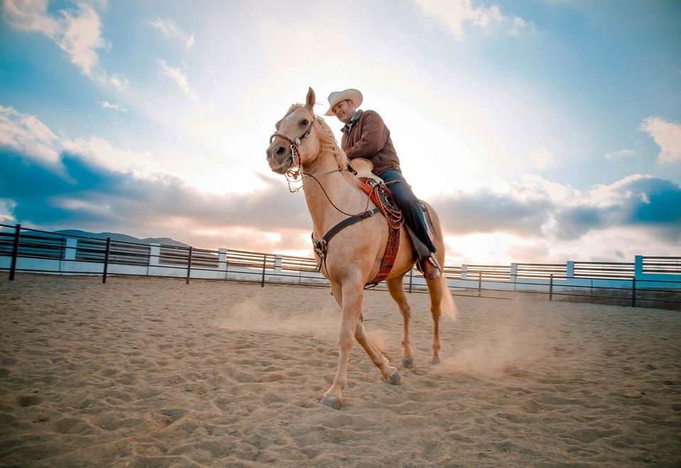 Beim Rodeo