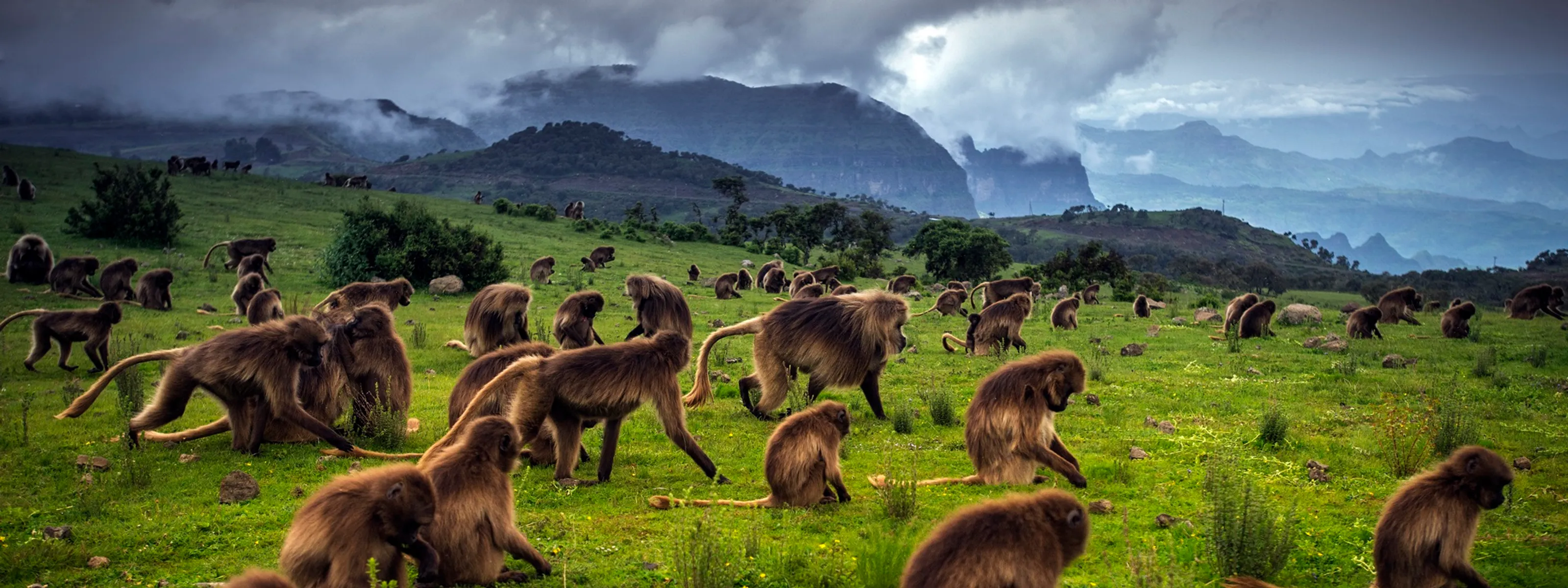 Äthiopien: Historische Kulturschätze und unbekannte Naturvölker