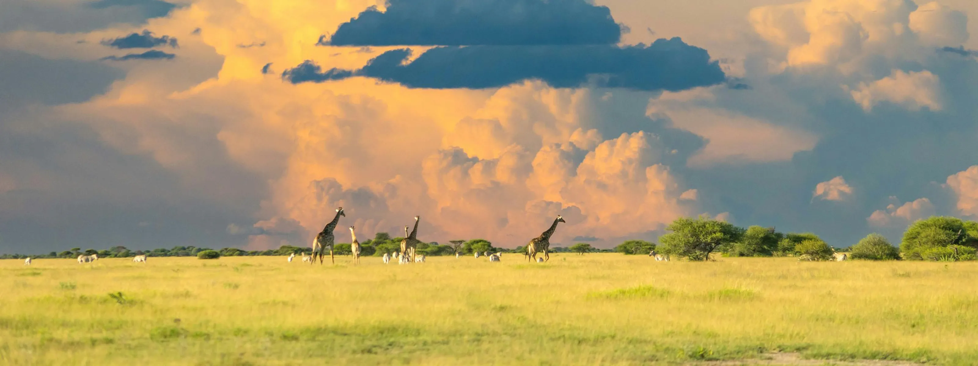 Botswana Header 2