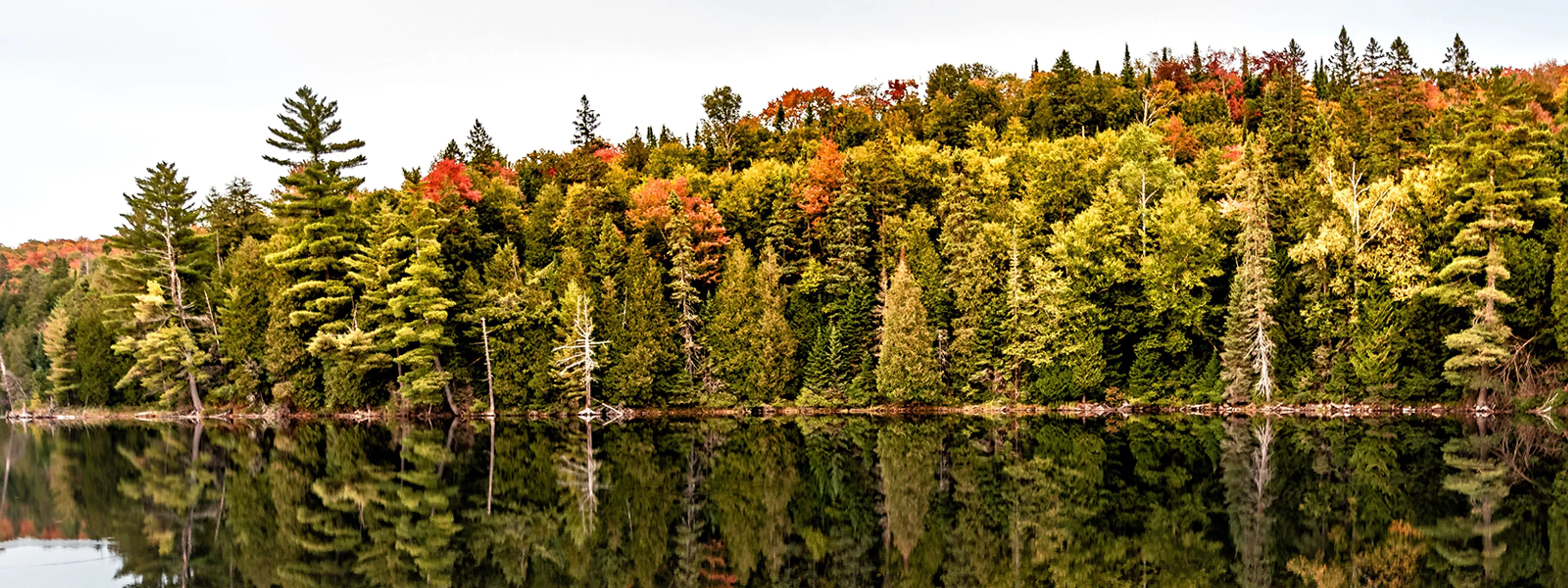 Indian Summer in Ontario
