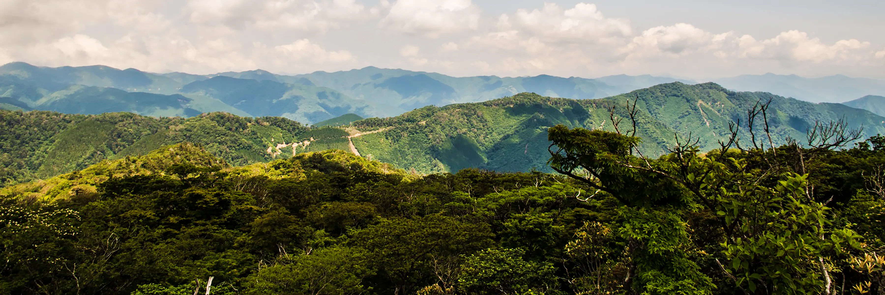 Facettenreiches Kyushu - Japans grünes Paradies