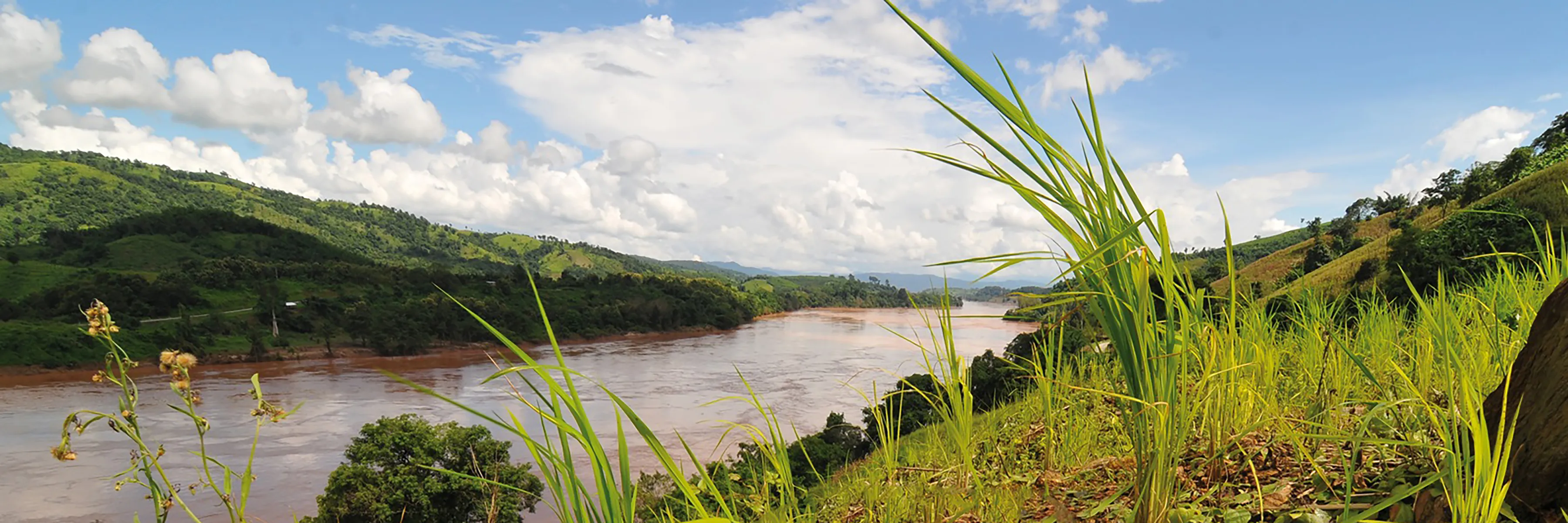 Flusskreuzfahrt Orchidee