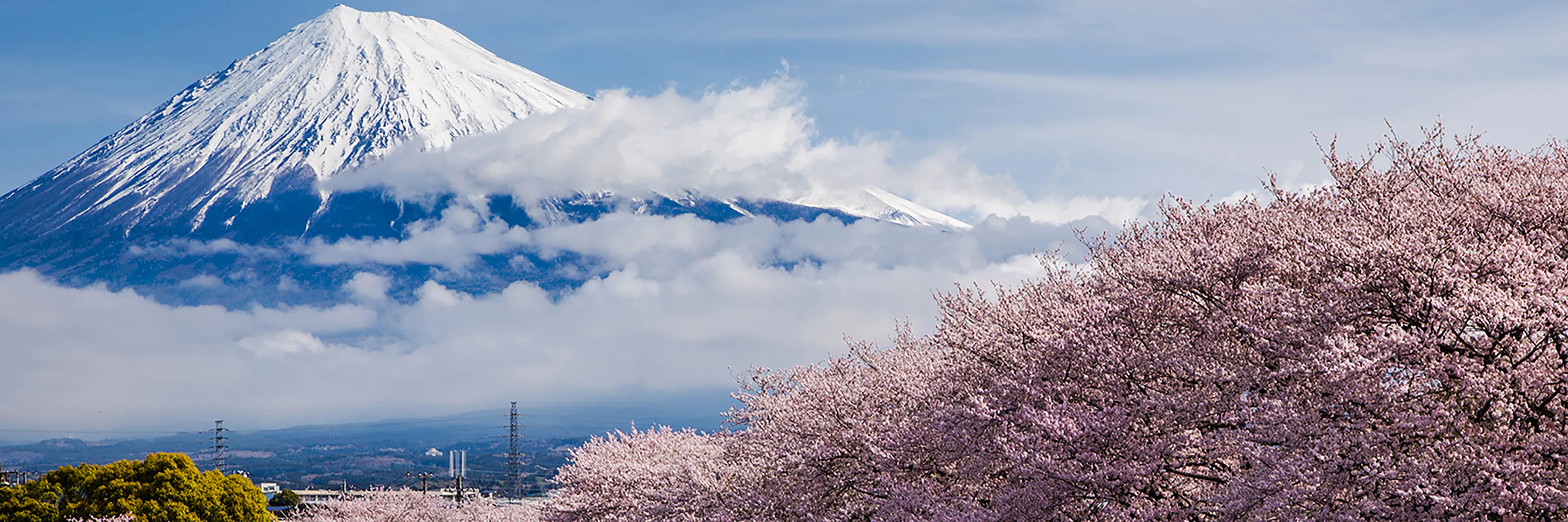 Mount Fuji World Heritage Center, Fujinomiya