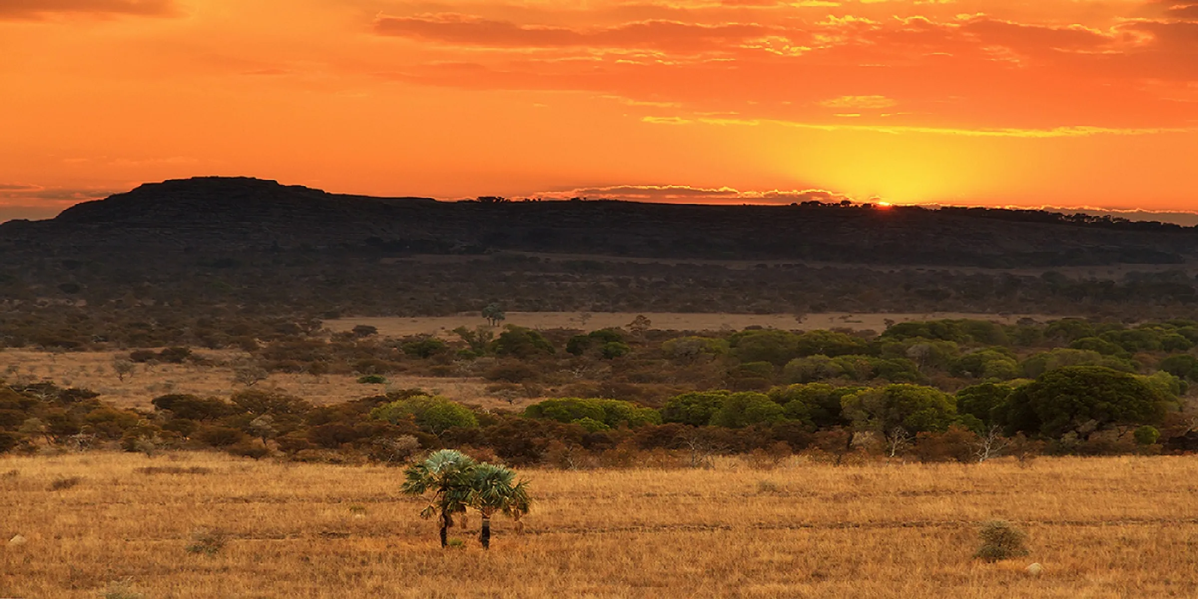 Sonnenuntergang im Isalo-Nationalpark 