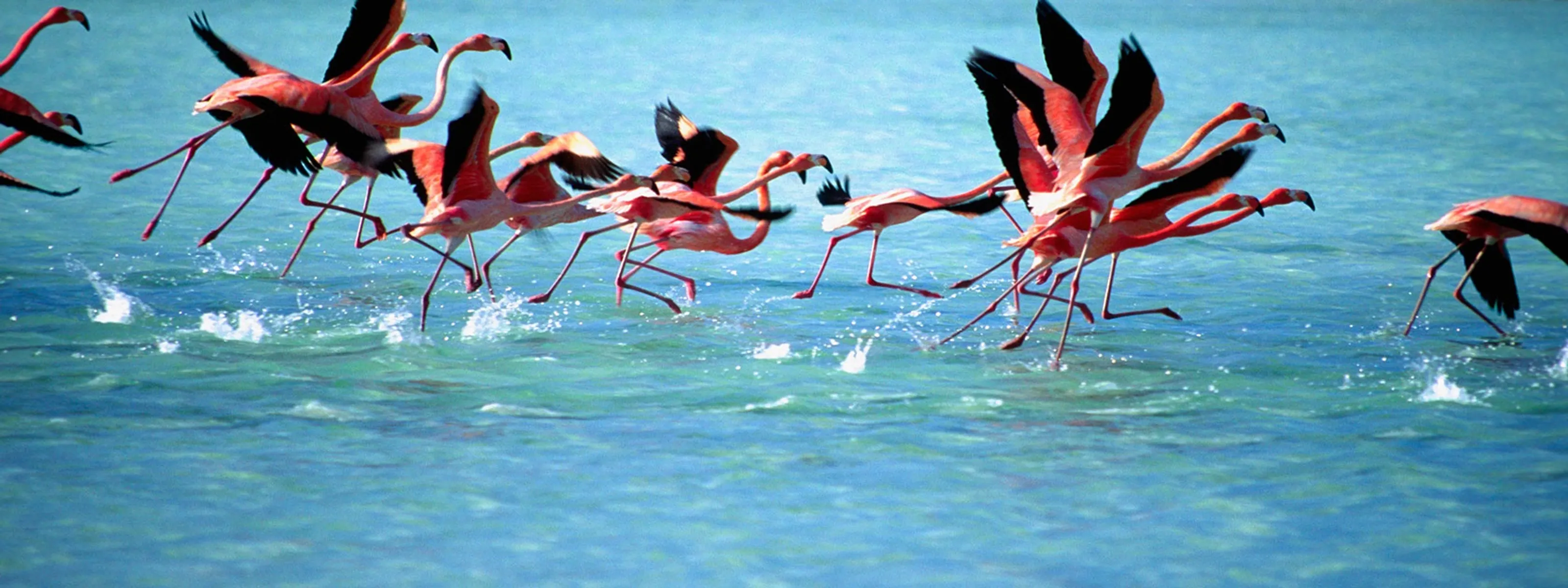 Inselhopping Niederländische Antillen: Die ABC-Inseln