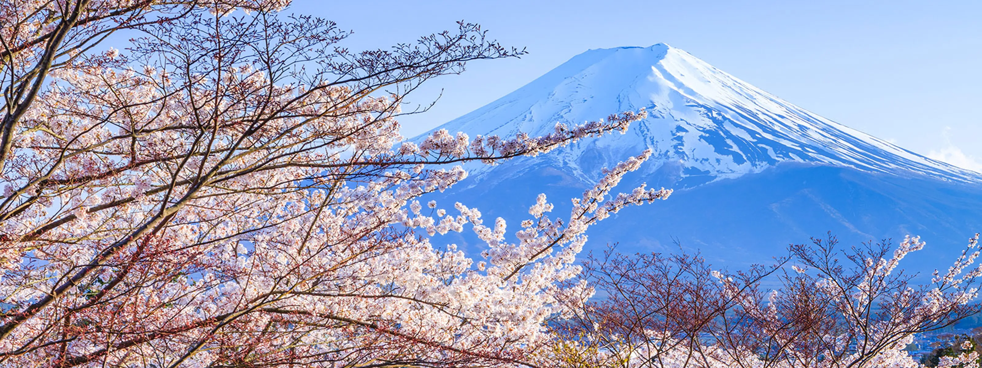 Mount Fuji
