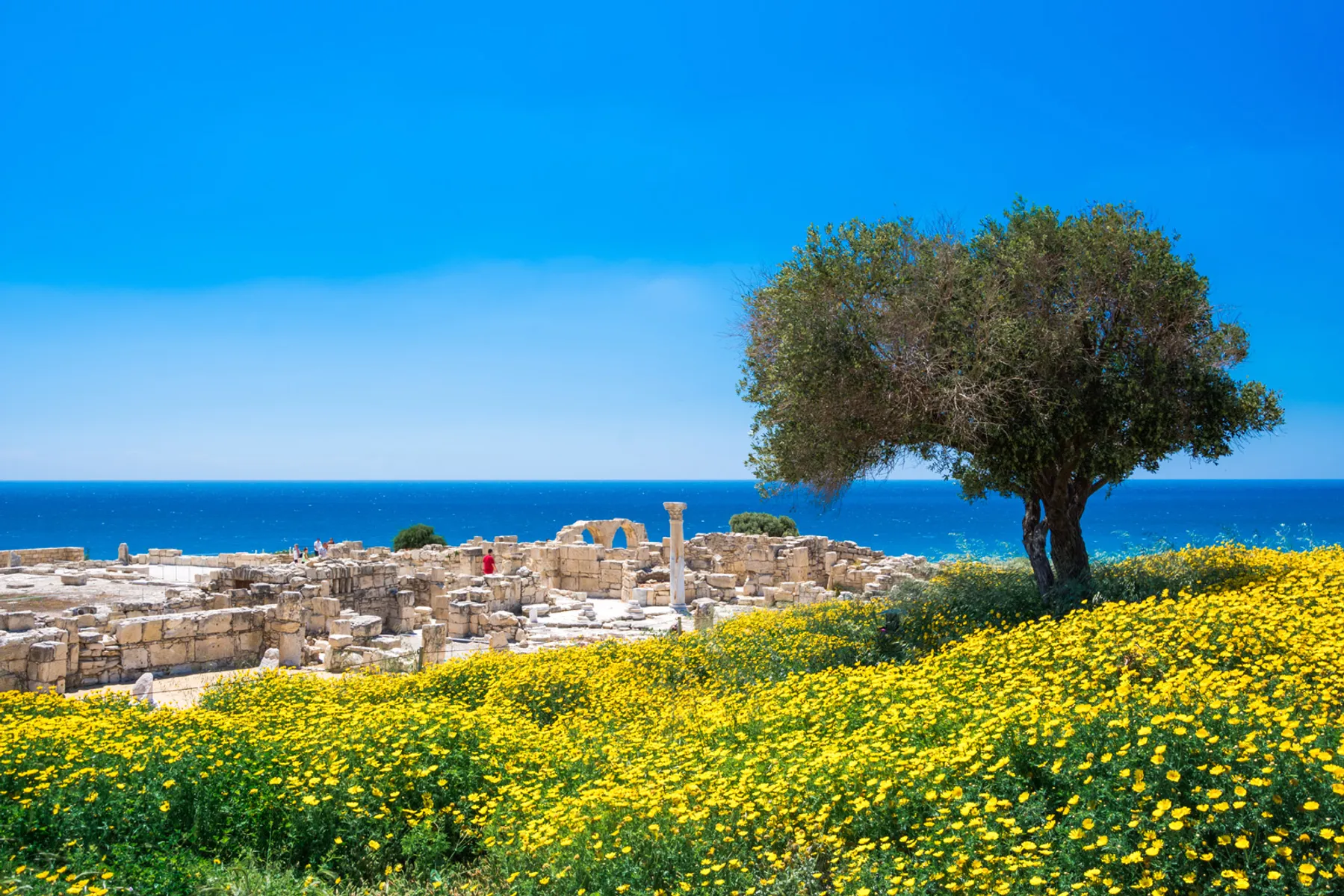 Kourio Basilika in der archäologischen Stätte des Weltkulturerbes Kourion in der Nähe von Limassol