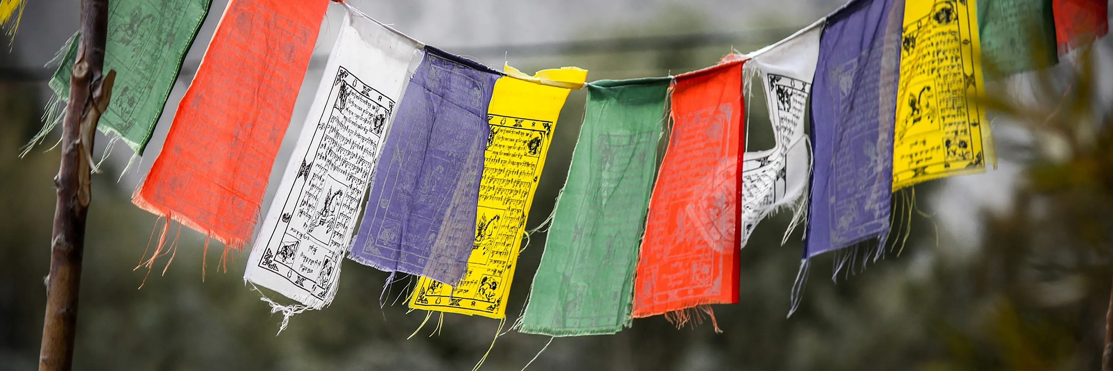 Ladakh - Reise in das Land der Chörten und Klöster