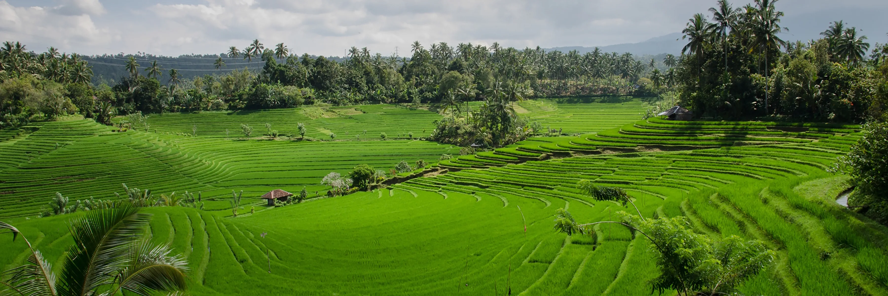 Lombok, Bali und Flores - Ungleiche Schwestern im Inselreich