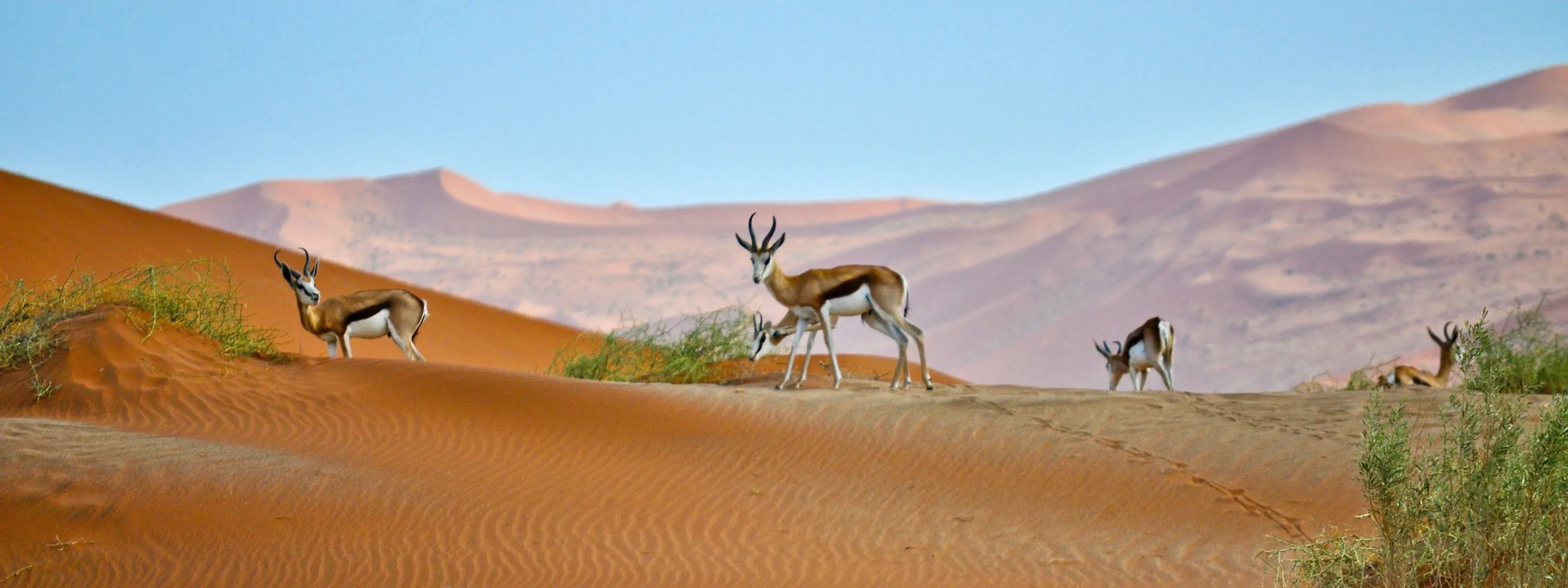 Namibia auf den zweiten Blick