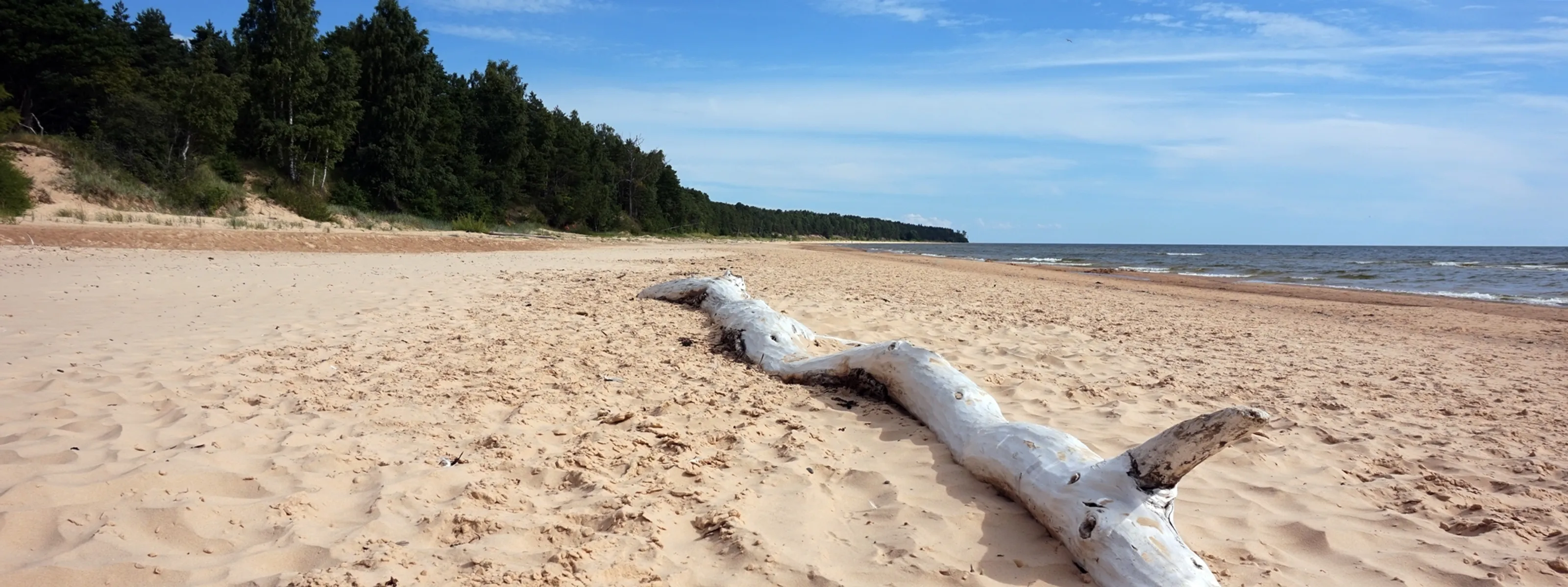 Privatreise Lettland - Jugendstil & Naturerlebnis