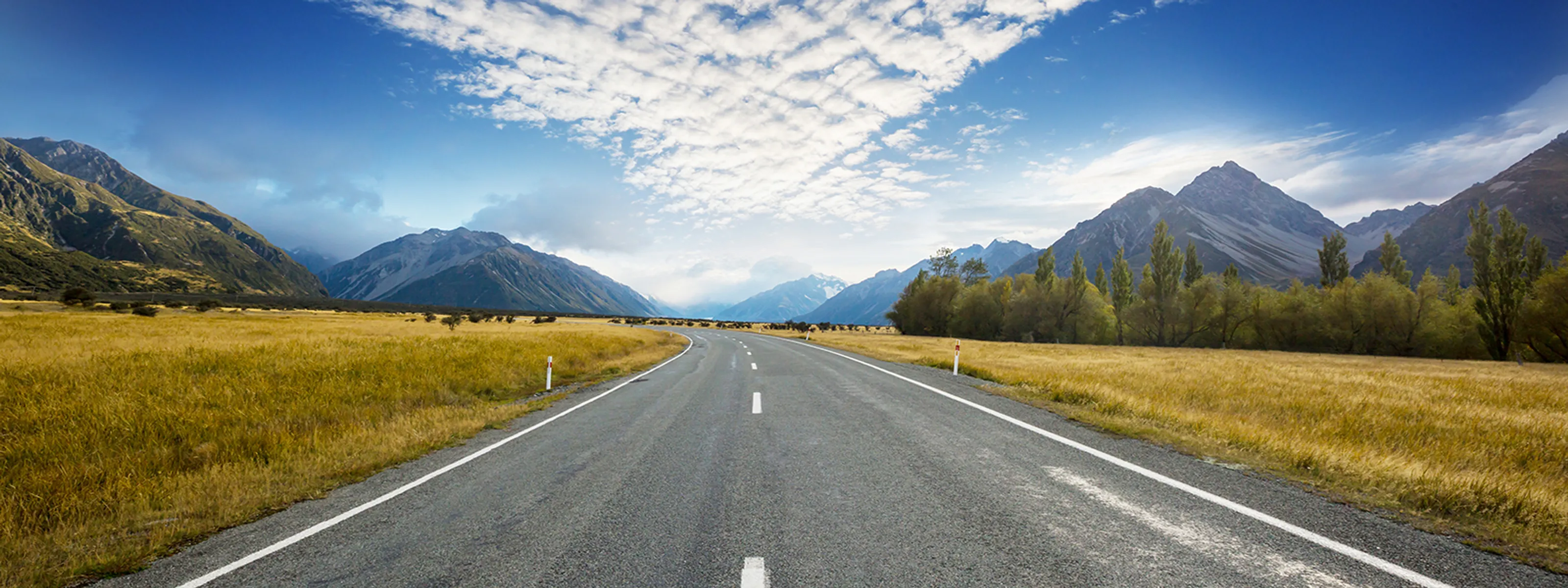 AdobeStock © Galyna Andrushko