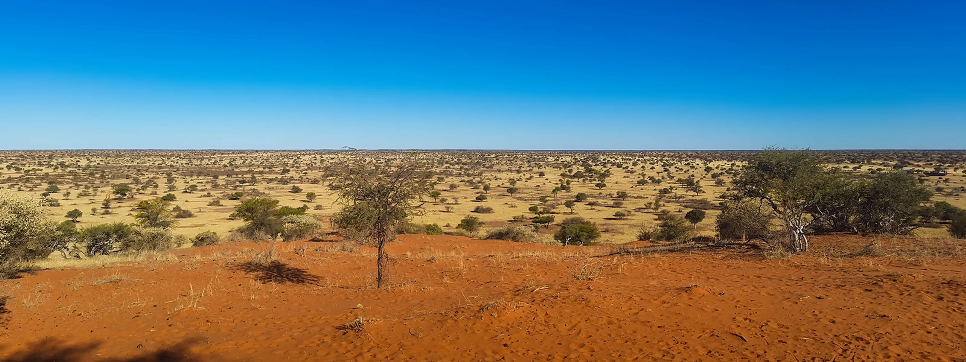 Kalahari Namibia Reise Sossuvlei