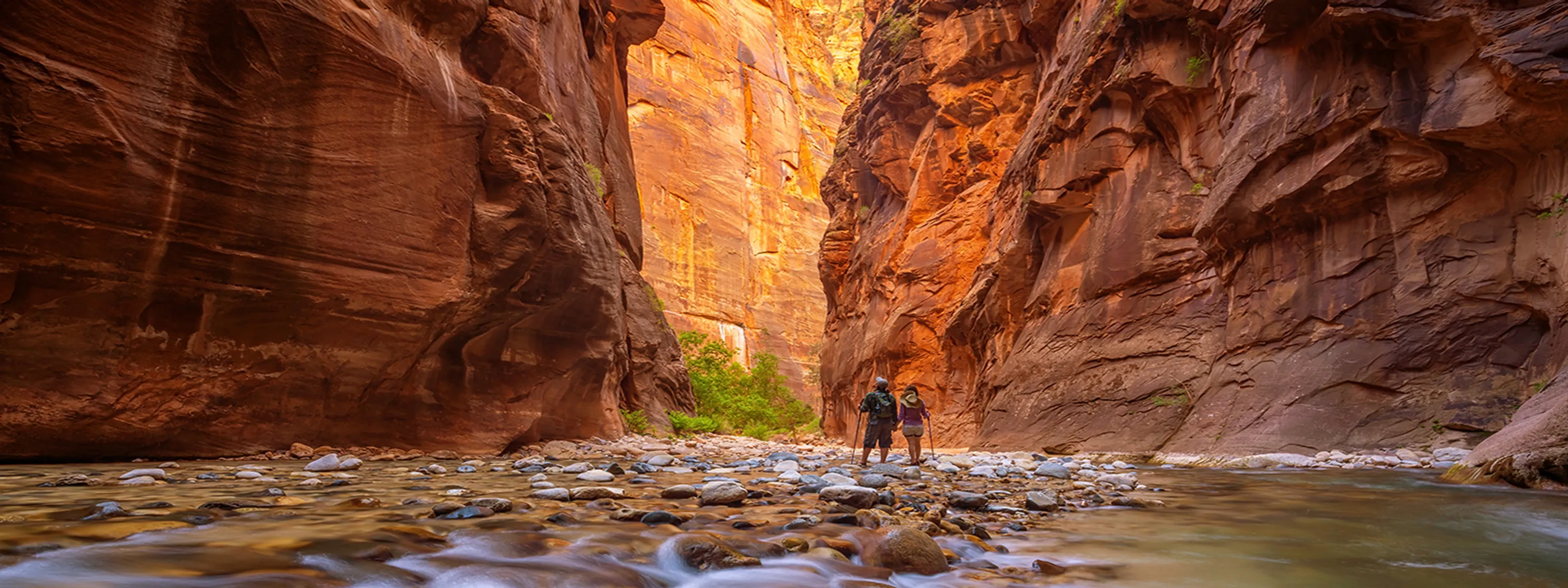 Wanderer im Zion-Nationalpark AdobeStock © f11photo