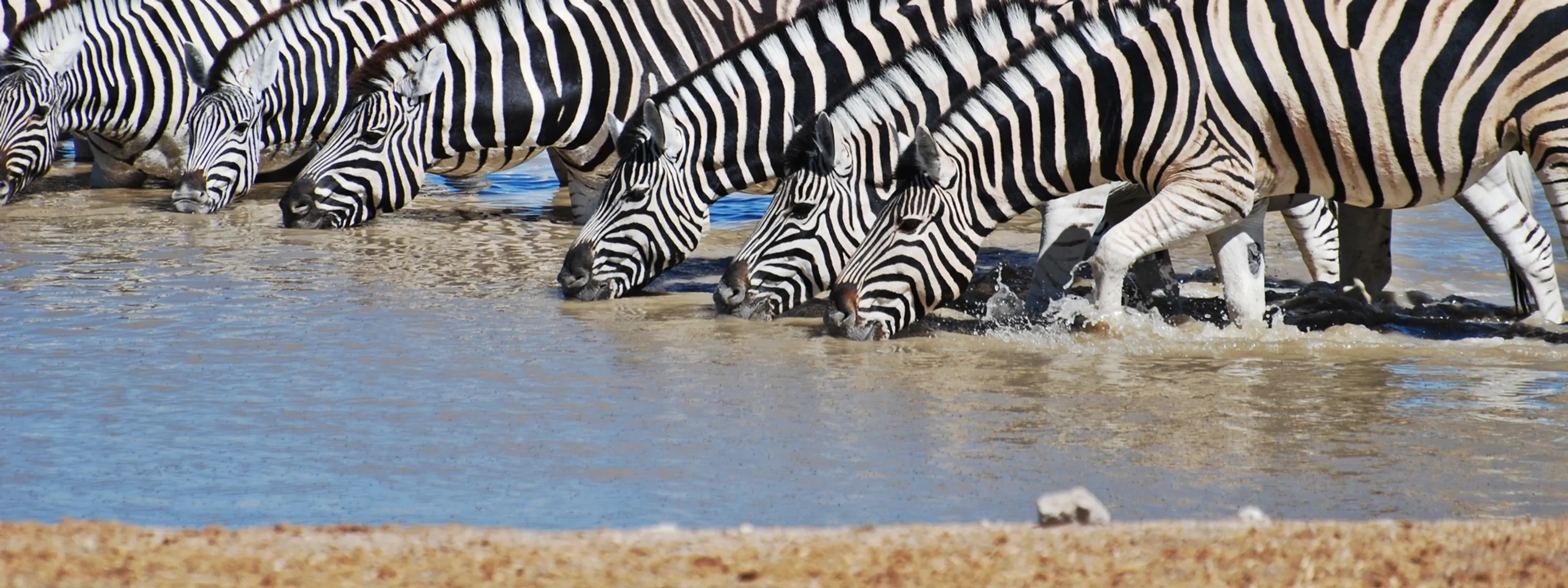 Reise nach Tansania & Sansibar - Weite Natur & traumhafte Strände