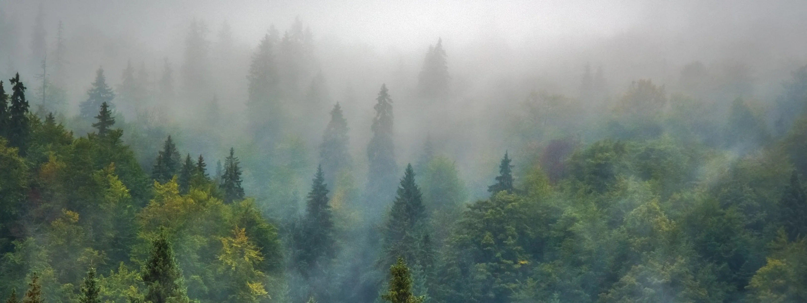 Rumänien: Mystisches Land der Burgen und Wälder