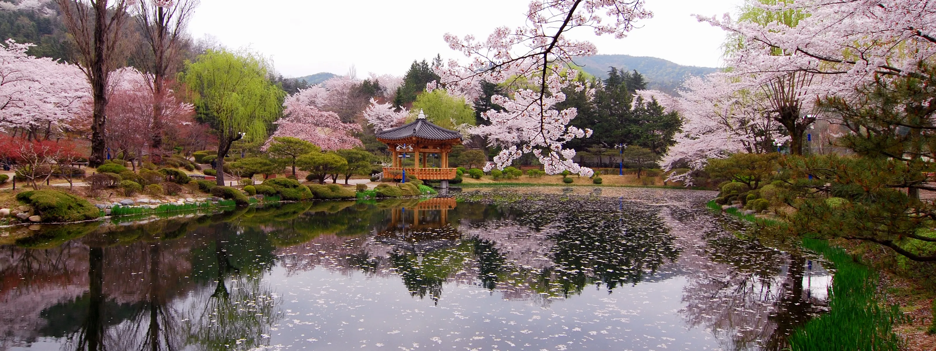 Südkorea auf den ersten Blick. Verlängerung auf Jeju
