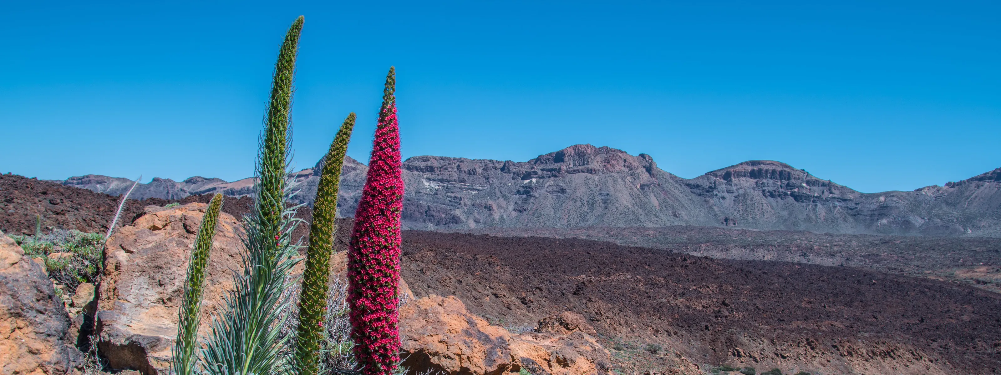 Mietwagenreise Kanarische Insel