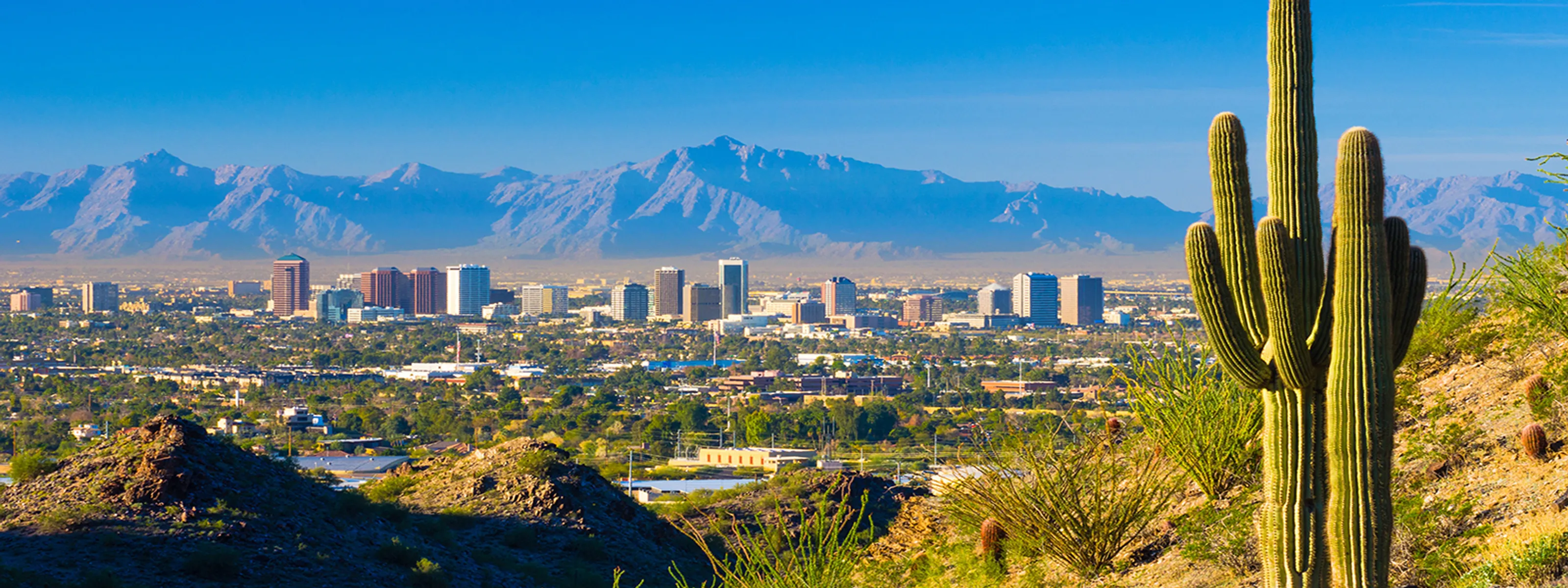 Skyline von Phoenix, Arizona iStock © Davel5957 