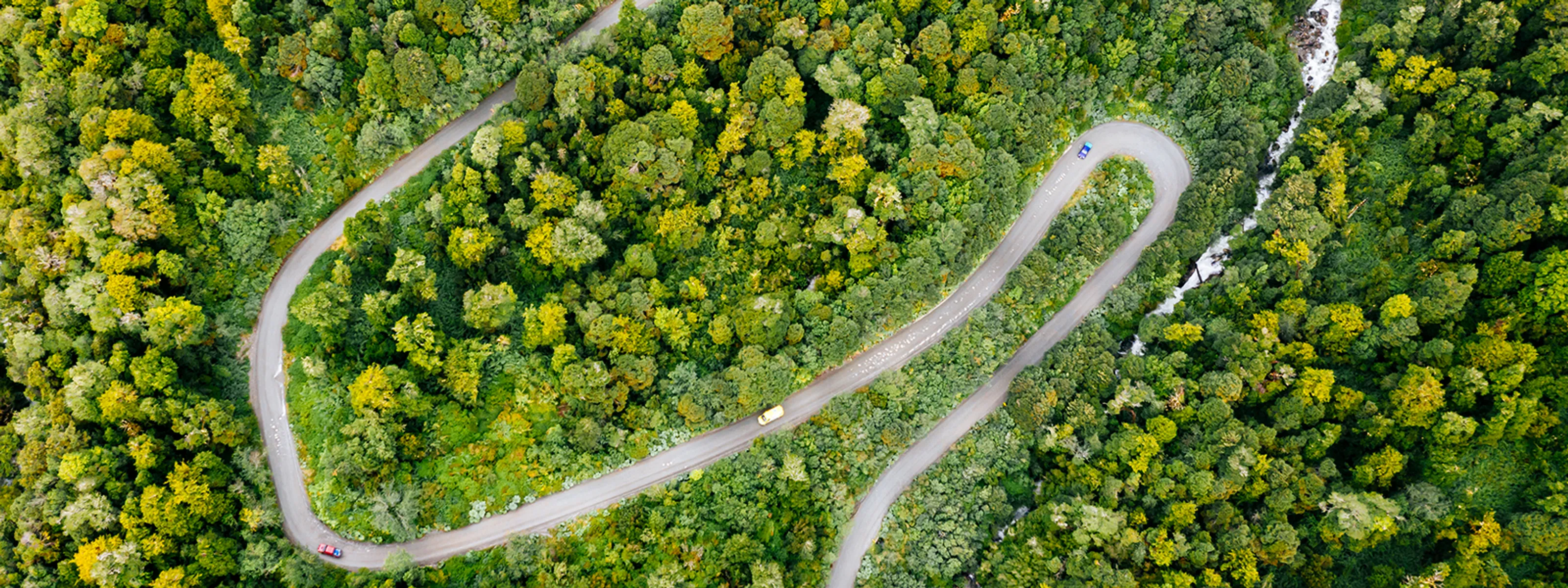 Straße der Carretera Austral im Nationalpark Queulat