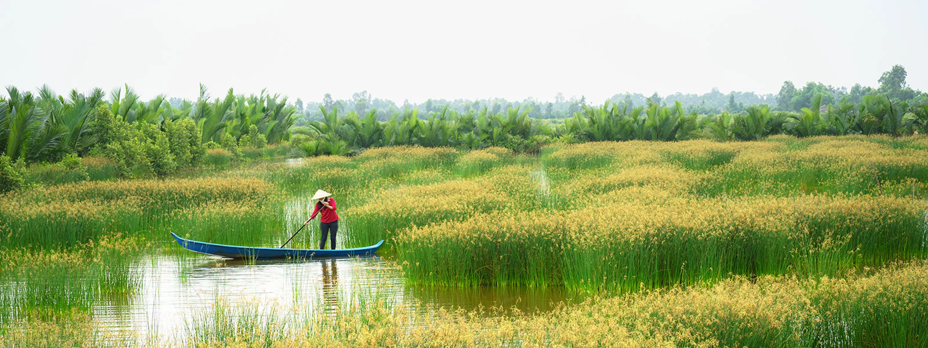 Vietnamese im Reisfeld