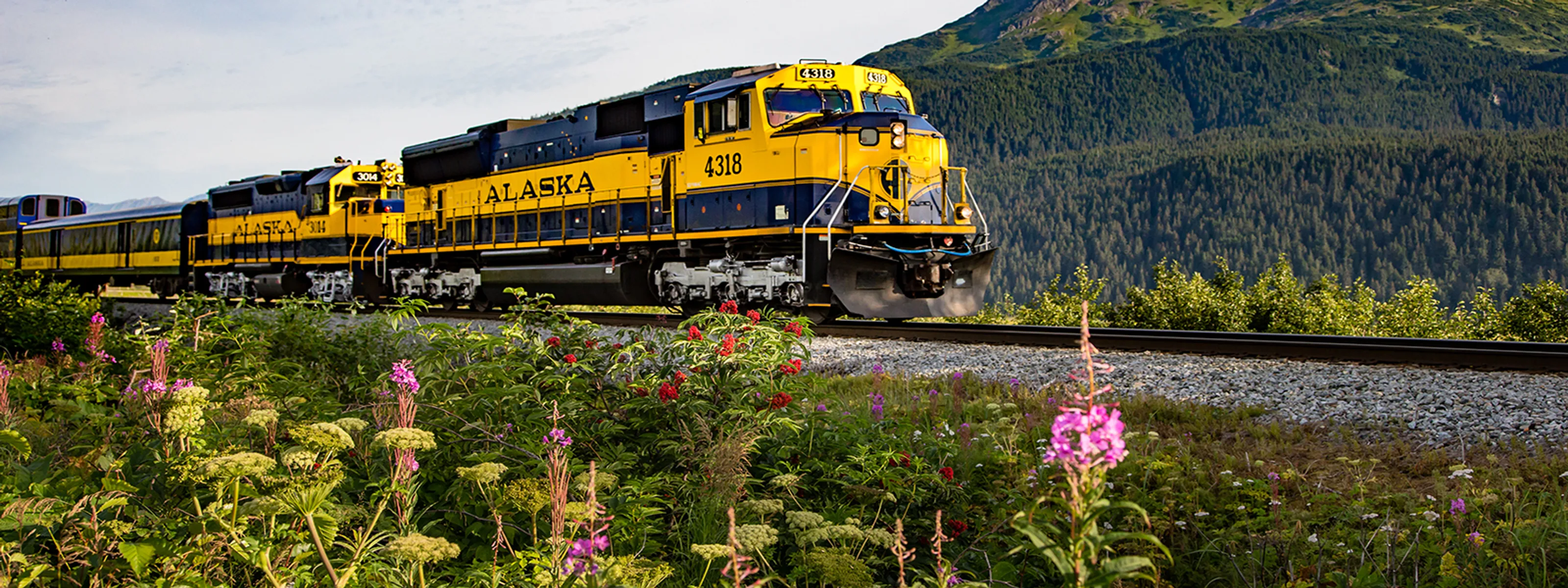 Alaska Railroad © Glenn Aronwits