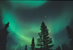 Aurora Borealis über der Hudson Bay – Polarlichter zählen zu den Höhepunkten einer Winterreise nach Kanada.