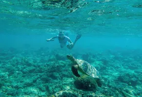 Die artenreiche Unterwasserwelt rund um Bali und Lombok begeistert Schnorchler und Naturliebhaber gleichermaßen.