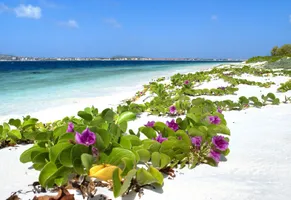 Strand auf Bonaire 