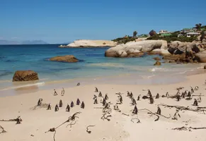 Der berühmte Boulder 's Beach, Kapstadt