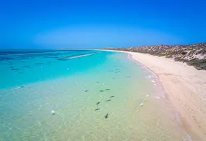 Faszinierendes Naturschauspiel in der Shark Bay AdobeStock © MXW-Photo