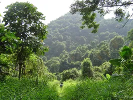 Vietnam, Cat Ba-Nationalpark