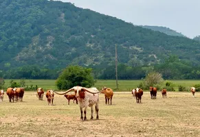 Dixie Dude Ranch, USA Reisen
