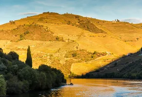 Wunderschönes Douro-Tal