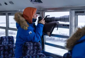 Eine Wildlife-Reise zur Hudson Bay bietet einzigartige Möglichkeiten zur Eisbärenbeobachtung.