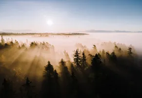 Ursprüngliche Waldidylle