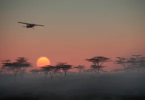 Flug über die Savanne