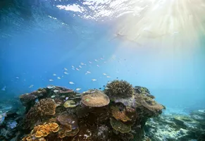 Great Barrier Reef