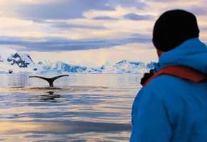 Wahlbeobachtung von Deck der Hanseatic Nature