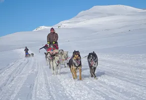 Ein unvergessliches Huskyabenteuer