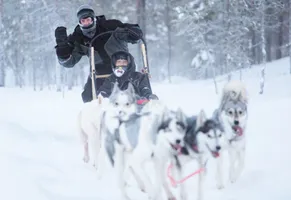 Huskyschlittenfahren