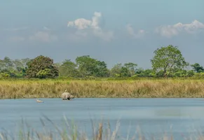 Kaziranga-Nationalpark