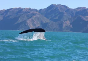 Kaikoura, Neuseeland