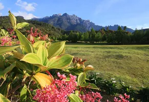 Kinabalu Nationalpark, Borneo