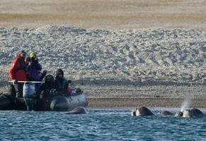 Wildlife-Tour mit dem Zociac © Oceanwide Expeditions