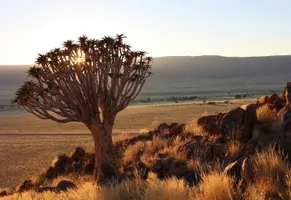 Landschaft in Namibia