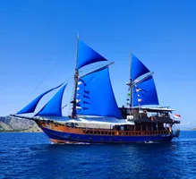 Moana Cruise
